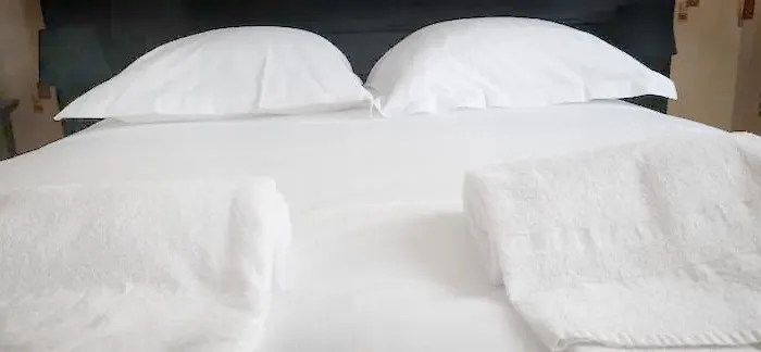 L'amicale : 80 M², 6 Prs, 3 Ch, Centre * ディジョン